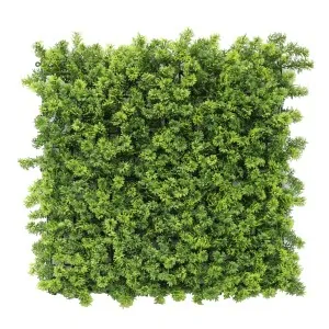 Green Wall Premium 50 x 50cm - Moss