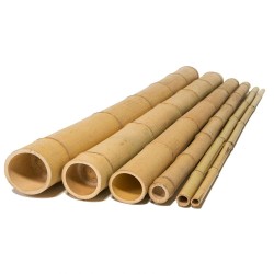 Καλάμι Bamboo Ø2-2,2 x 200εκ.
