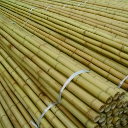 Καλάμι Bamboo Ø4-6 x 300εκ.