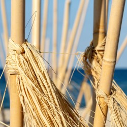 Καλάμι Bamboo Ø6-8 x 400εκ.