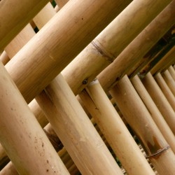 Καλάμι Bamboo Ø10-12 x 400εκ.
