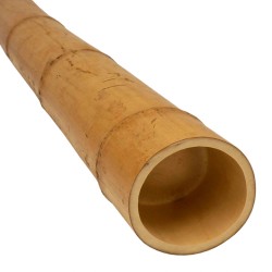 bamboo poles o12 - 14 x 300cm