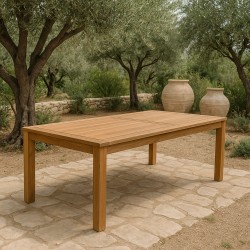 Teak table 100 x 250cm