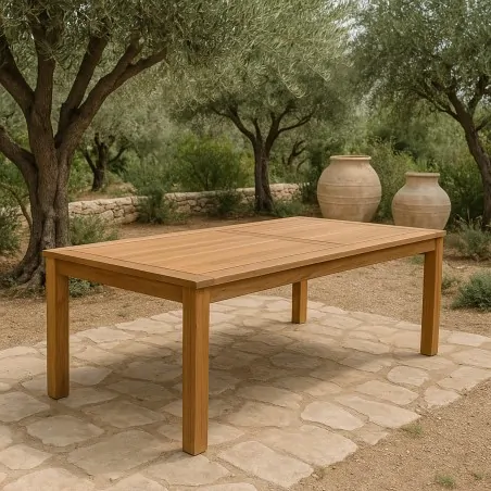 Teak table 100 x 250cm