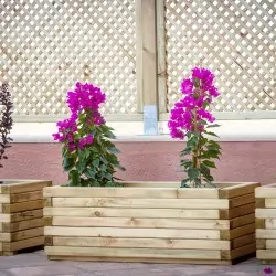 Wooden Planter 37(h) x 50 x 110cm