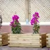Wooden Planter 37(h) x 50 x 110cm