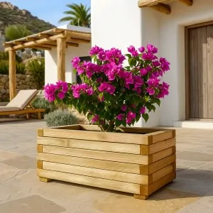 Wooden Planter 33(h) x 40 x 90cm