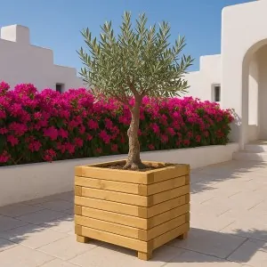 Square Wooden Planter 50 x 50 cm – 37 cm Height