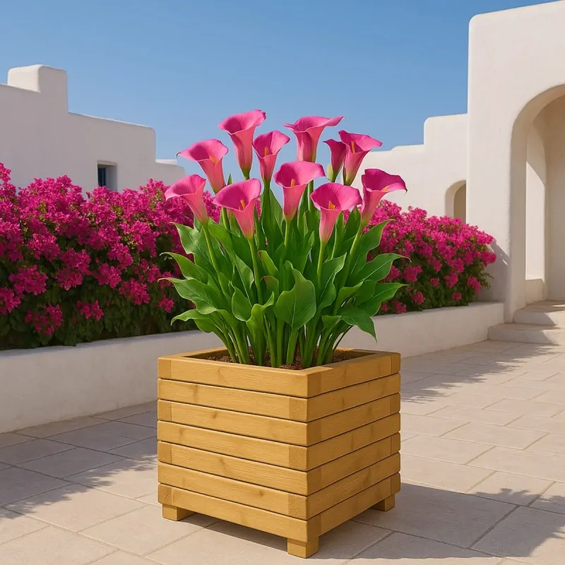 Square Wooden Planter 50 x 50 cm – 37 cm Height
