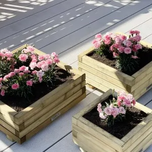 Wooden Planter Square 21(h) x 50 x 50cm