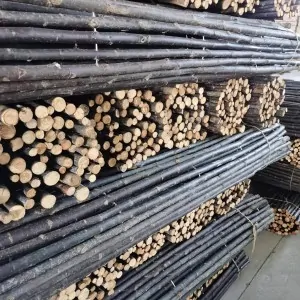 Καλαμωτή Λυγαριά Μασίφ 18-30mm - 200x200εκ.