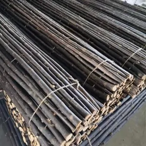 Willow Roll Unpeeled 18-30mm - 200 x 200 cm