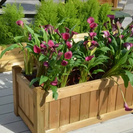 Granada Rectangular Wooden Planter 45x50x100cm