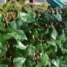 Expandable Artificial Hedge 100 x 300 cm