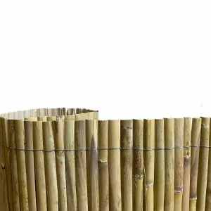 Half Reed Screen – Two-Year Growth 150 x 500 cm