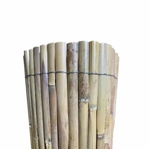 Half Reed Screen – Two-Year Growth 150 x 500 cm