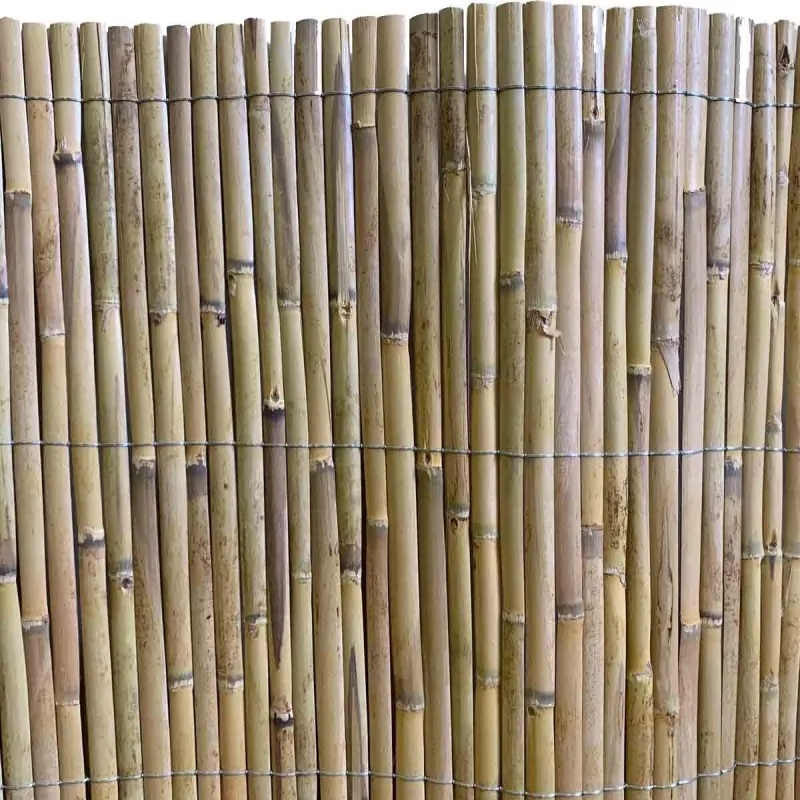 Half Reed Screen – Two-Year Growth 150 x 500 cm