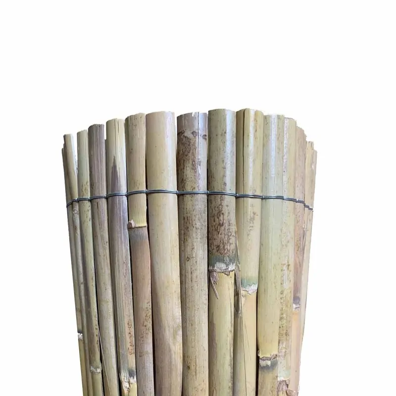 Half Reed Screen – Two-Year Growth 100 x 500 cm