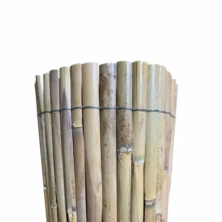 Half Reed Screen – Two-Year Growth 100 x 500 cm