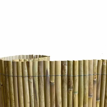 Half Reed Screen – Two-Year Growth 100 x 500 cm