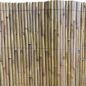 Half Reed Screen – Two-Year Growth 100 x 500 cm