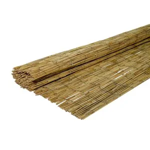 Thin Reed Fence ECONOMY 100x300 cm