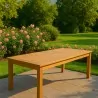 Teak table 100 x 250cm