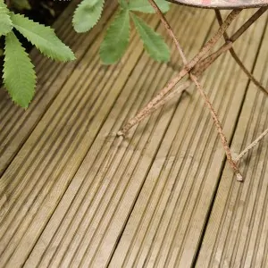 Grooved Pressure-Treated Deck Board 2.1 × 12 × 300 cm