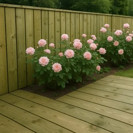 Τάβλα Deck Εμποτισμένη Λεία 2,1 × 14,5 × 420 εκ.