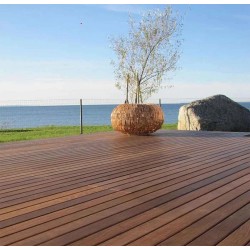 Thermo Ash Decking Board 2 x 11.2 x 240 cm
