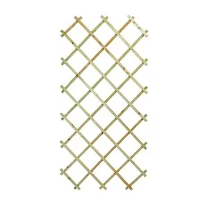 Πέργκολα Τοίχου 100 x 200 εκ.