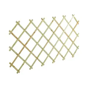 Wooden Wall Pergola 100 x 200 cm