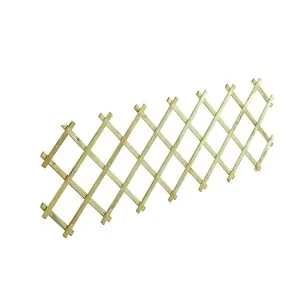 Πέργκολα Τοίχου 50 x 200 εκ.