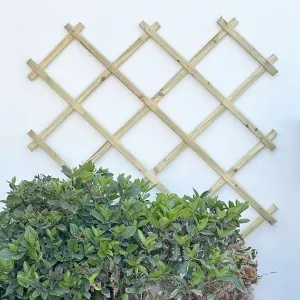 Wooden Wall Pergola 100 x 200 cm