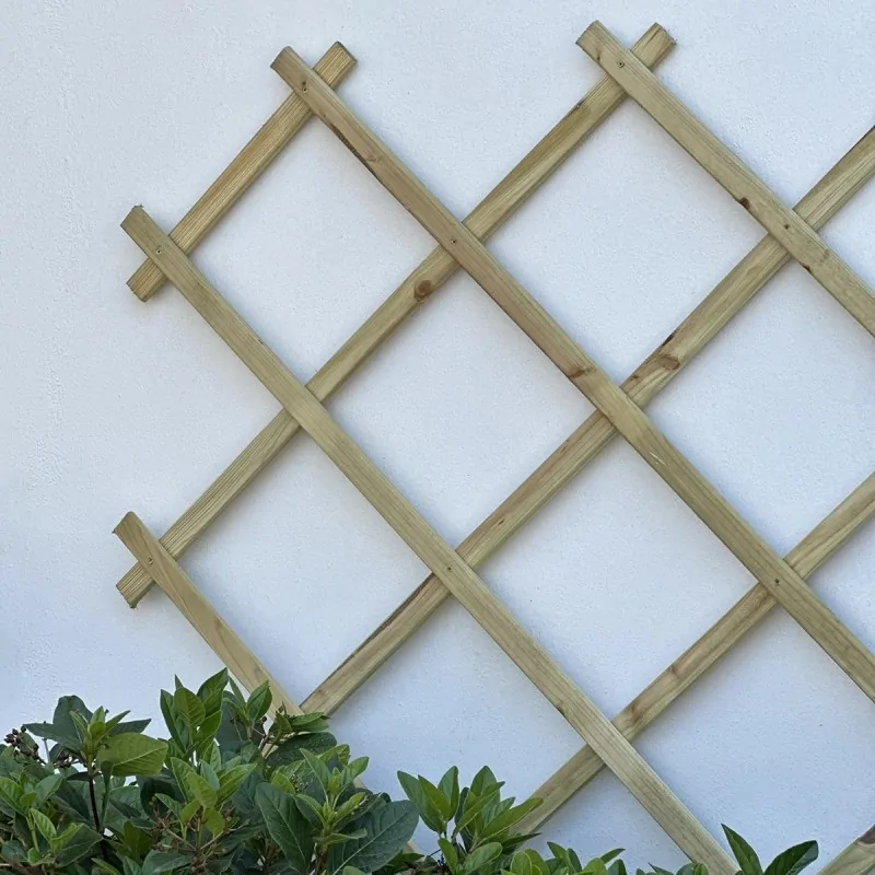 Πέργκολα Τοίχου 150 x 200 εκ.