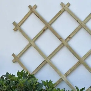 Πέργκολα Τοίχου 150 x 200 εκ.