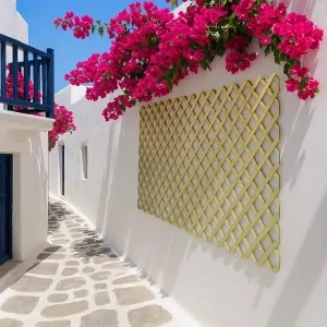 Wooden Lattice Medium 7x7 – 122 x 240 cm