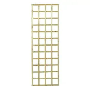 Καφασωτό Αναρρίχησης (12x12) 60 x 180εκ.