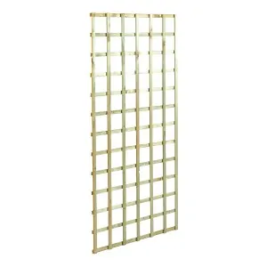Trellis Panel (12x12) 90 x 180cm