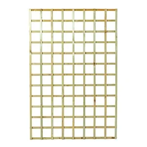 Trellis Panel (12x12) 120 x 180cm
