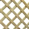 trellis lath 1,2 x 3 x 240cm