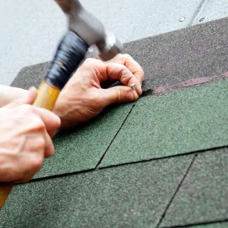 Roofing Nails  Ø20mm for Asphalt Shingles