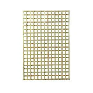 Climbing Trellis (6 x 6) - 120 x 180cm
