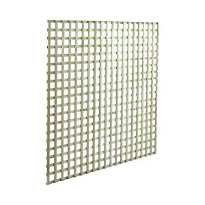 Climbing Trellis (6 x 6) - 180 x 180cm