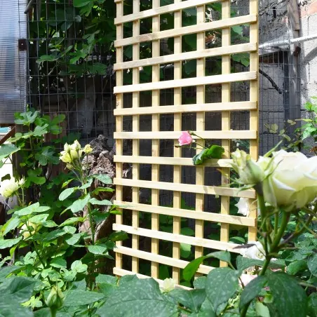 Climbing Trellis (6 x 6) - 90 x 180cm
