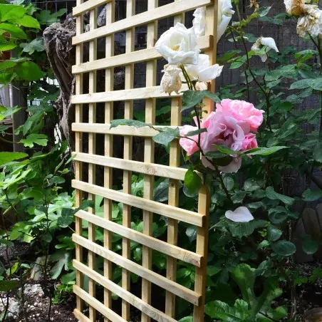 Climbing Trellis (6 x 6) - 120 x 180cm