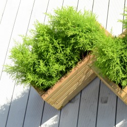 Ξύλινη Γλάστρα Παραλληλόγραμμη 28(Υ) x 30 x 70εκ.