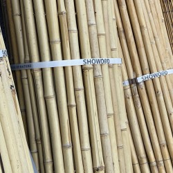 Bamboo Cane Roll Fence Ø20–25mm - 100 x 250cm