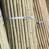 Bamboo Cane Roll Fence Ø20–25mm - 100 x 250cm