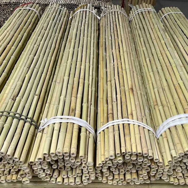 Bamboo Cane Roll Fence Ø20–25mm - 200 x 250cm